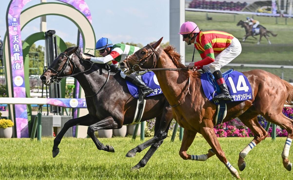 🏇 교토 경마장 이미지 9